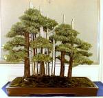 Manfred%20Roth%20(1)-1