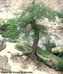 1357132579_e5f4d5e9de_b