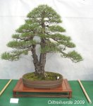 16139_1160685702975_1402795913_30457896_4035460_n