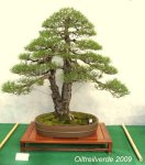 16139_1160685702975_1402795913_30457896_4035460_n