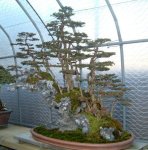 26274_354527587524_82869747524_4148331_1380257_n-1