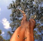 33990_407383177524_82869747524_4936554_7648361_n