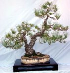 35826_405088927524_82869747524_4872876_4799304_n