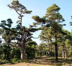 40075_417170902524_82869747524_5205233_3802642_n