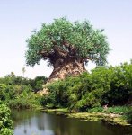 40774_423261442524_82869747524_5369561_1951223_n