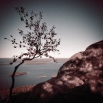 5018042517_d0f235806d_b