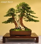 74564_446821497524_82869747524_5856587_3827040_n