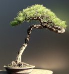 img_1138634733_141_lg