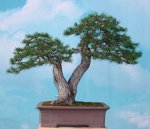 img_1143843923_894_lg