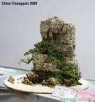 Landscape Bonsai
