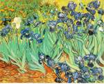 gogh.irises