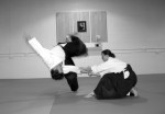 aikido-1
