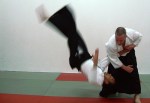 aikido-2