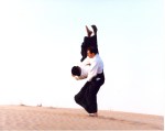 AikidoDesert8