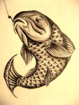 koi_carp_by_xxnotmexx-d3dr8vh