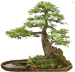 Captura de Tela 2012-02-24 às&nbsp;00.14.53.png