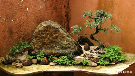 Cópia de DSC04697 2-001