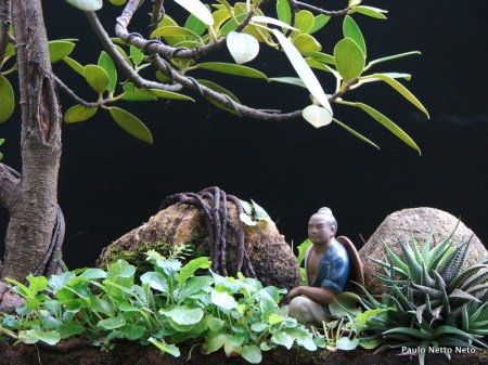 Cópia de DSC07684 2