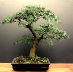 Cópia de OgAAAGGNImbjVYJ_hhSgc81KtymIEEP0YuI-a8A98nJUoZyIW8jNpqRP-9A6fH7NfFieHNePm-Nx9h2sf3gguFz7tzEAm1T1UHXDqR9-IlpLlu4HW16Ly6SkPC3E