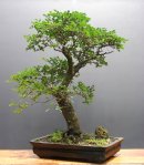 Cópia de OgAAAOpHdL4opg_RUGDi5o4GrRGjsDn9r-mCCVcq4drl0ZAmjHbt74sPuCmX_aUwDDGXTXmmzGu8xSZ1F3Kdk-WZd5QAm1T1UECPrnjxVqMdx0PLi95TMTggkfGO