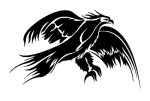 2416966-eagle-illustration