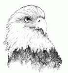 EAGLE_02