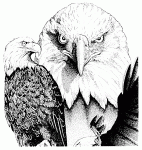 eagle_heads_bw