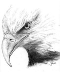 patriotic eagle head clipart