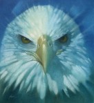 SAPULICH_EAGLE_OILWASH