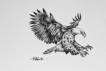 tiny_eagle_design_by_ryanmonsterholmes-d4pvi9u