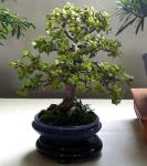 292187_418611378151966_100000093210730_1649935_479731972_n