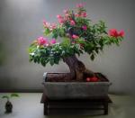 306535_418611264818644_100000093210730_1649931_1663920814_n