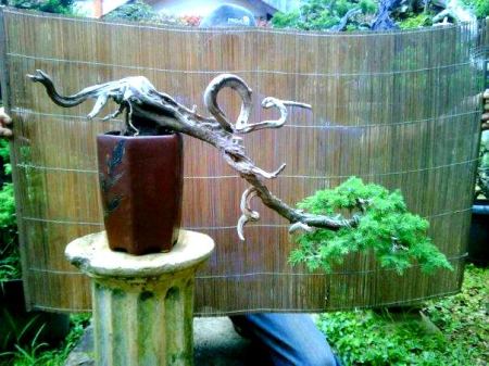 401319_1909777680920_1736196771_951246_1293894994_n