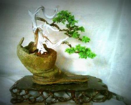 402492_1836633692366_1736196771_928885_1638505667_n