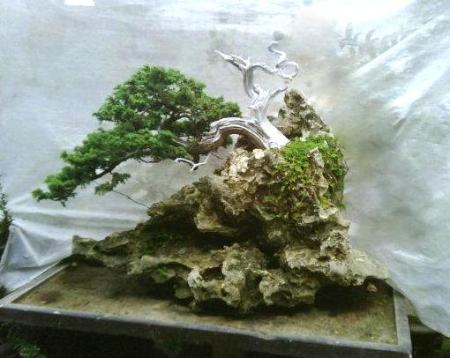 405416_1827814511892_1736196771_925919_1300627987_n