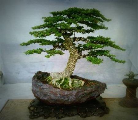 407679_1864176380916_1736196771_936762_905836686_n