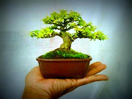 416960_1888265463128_1736196771_944544_796376915_n