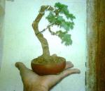 420274_1975589966186_1736196771_975704_1654992216_n