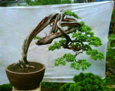 427457_1947785711097_1736196771_964237_154995143_n