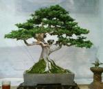 432192_1864177660948_1736196771_936763_989416530_n