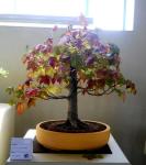 522481_418536661492771_100000093210730_1649708_719170494_n