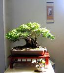 524288_418531494826621_100000093210730_1649696_2072695390_n