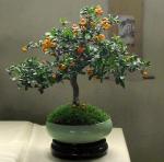 527314_418611038152000_100000093210730_1649923_1509761174_n