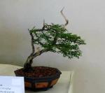 536703_418611078151996_100000093210730_1649924_1758753127_n