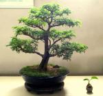 554476_418611108151993_100000093210730_1649925_1614564594_n