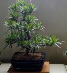 576127_418611151485322_100000093210730_1649927_166407108_n