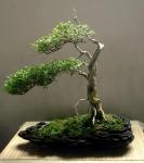 577954_418610964818674_100000093210730_1649920_1173163062_n