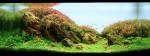 Top_10_International_Aquascaping_Contest_2009_21