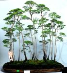 403775_421970121162870_100000496577790_1715121_1427918156_n