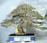 404080_421972077829341_100000496577790_1715151_434972682_n